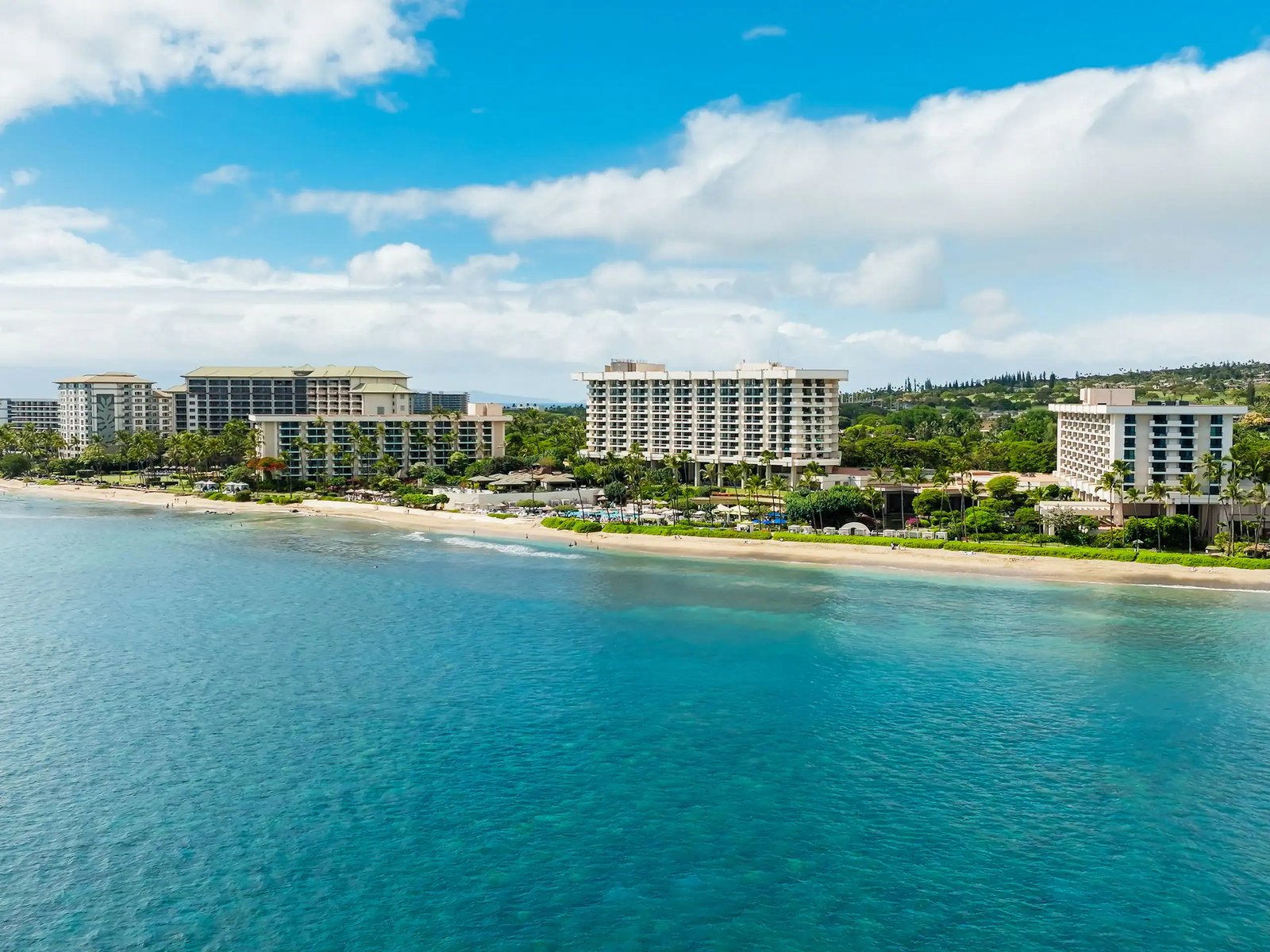 Hyatt Regency Maui Resort and Spa, backstory