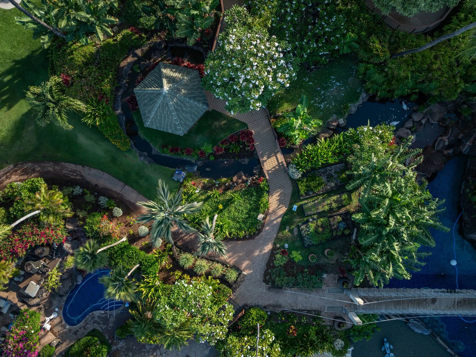 Hyatt Regency Maui Resort and Spa, wellness