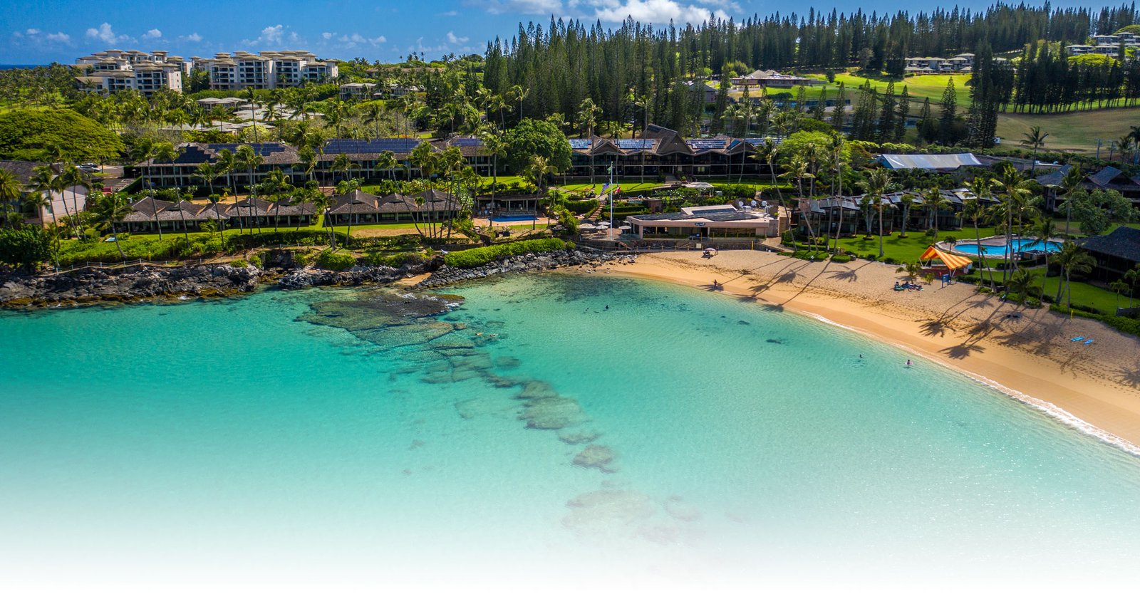 Napili Kai Beach Resort, vibe