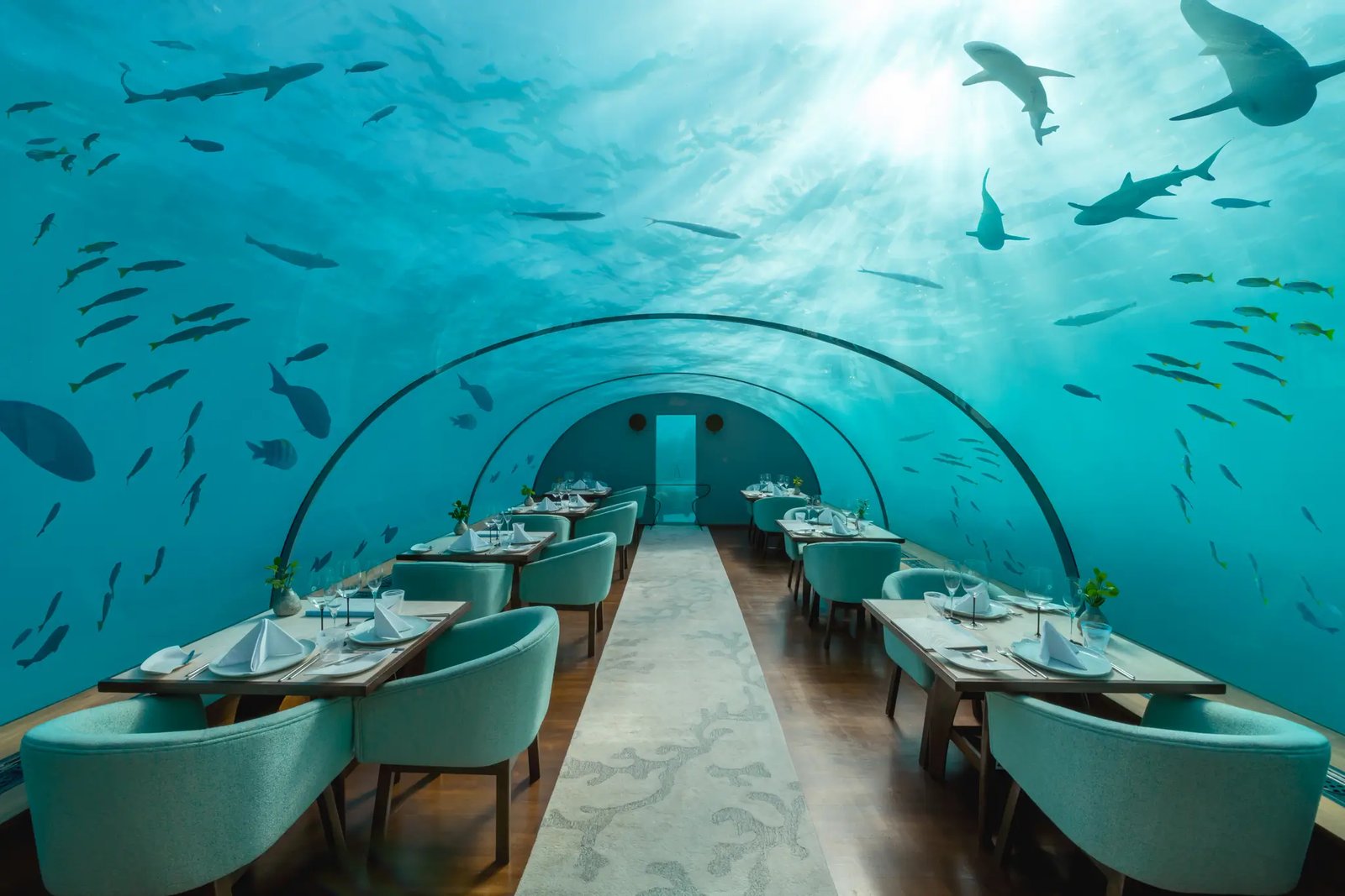 Conrad Maldives Rangali Island, at the table
