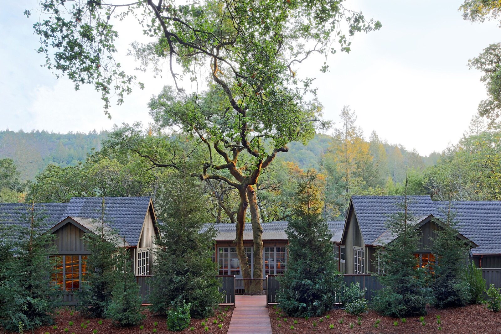 Meadowood Napa Valley, backstory