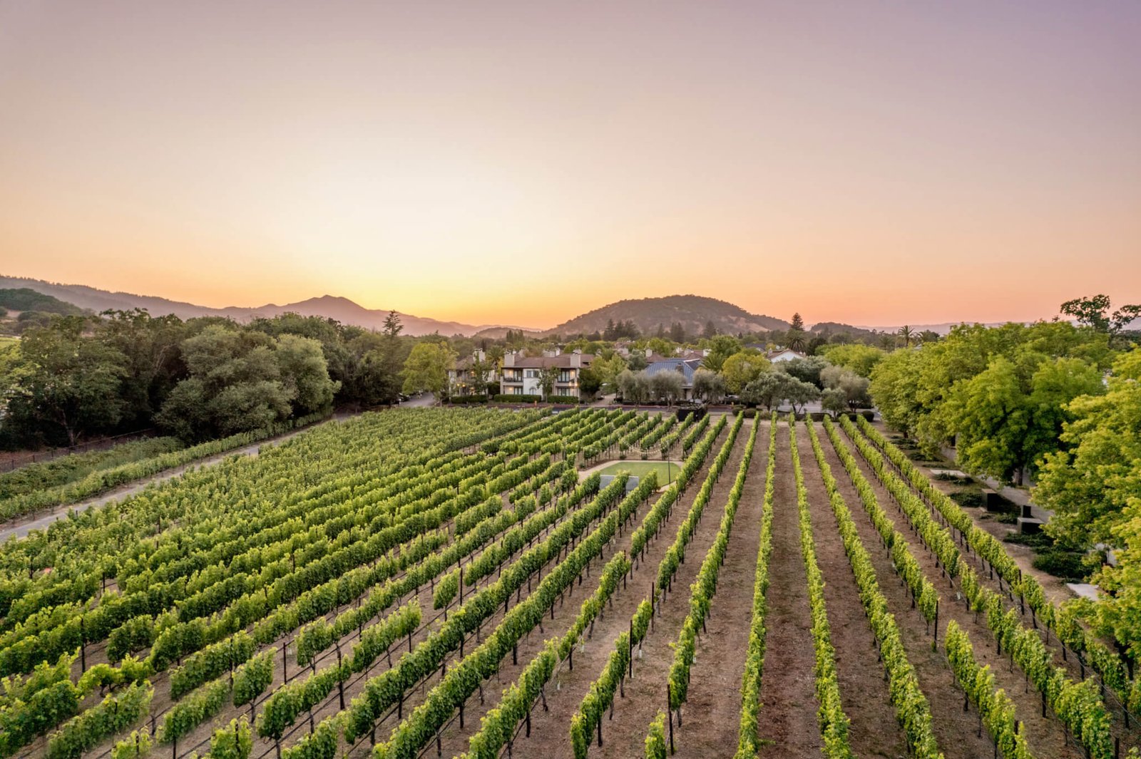 The Estate Yountville, vibe