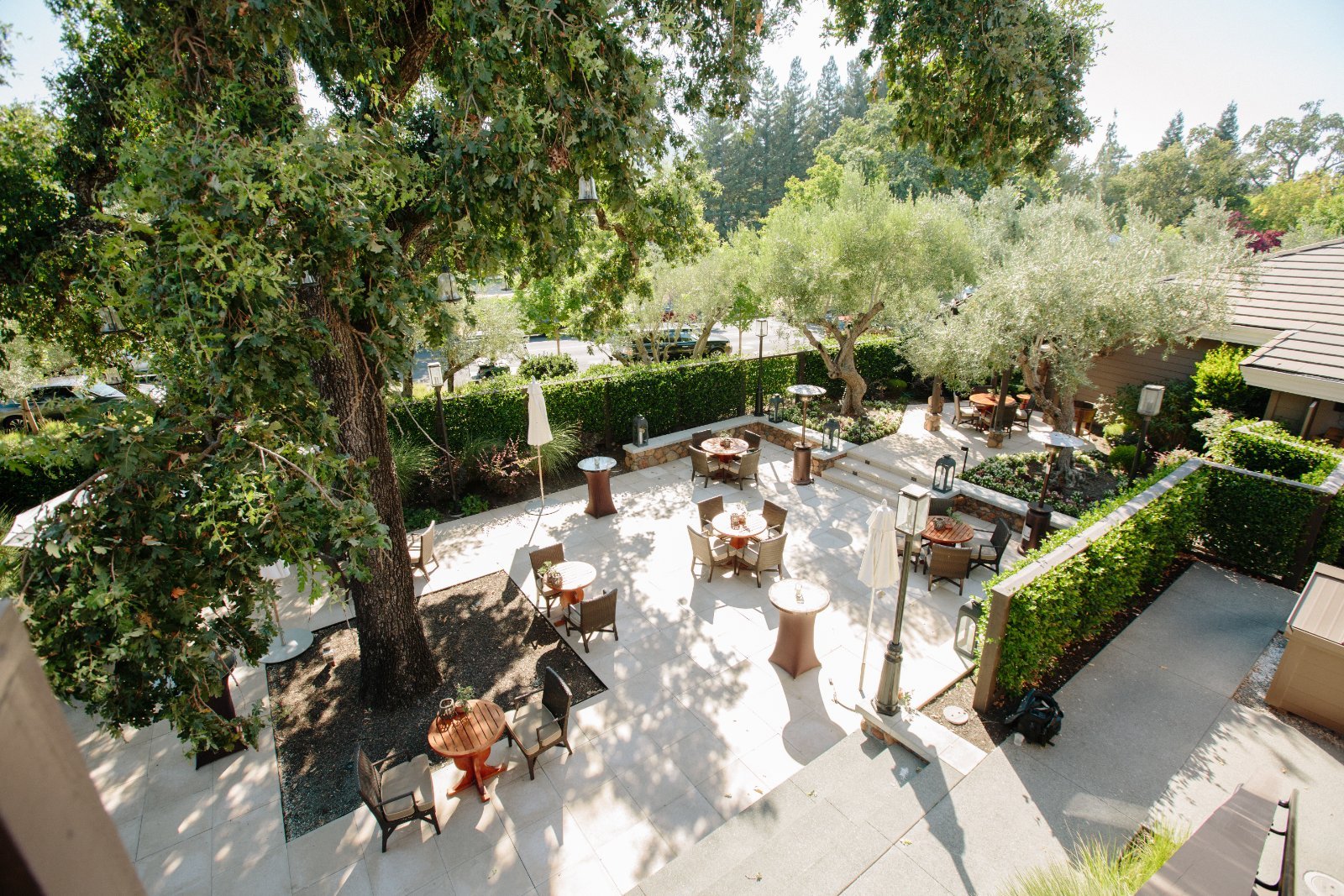 Hotel Yountville, heritage oak