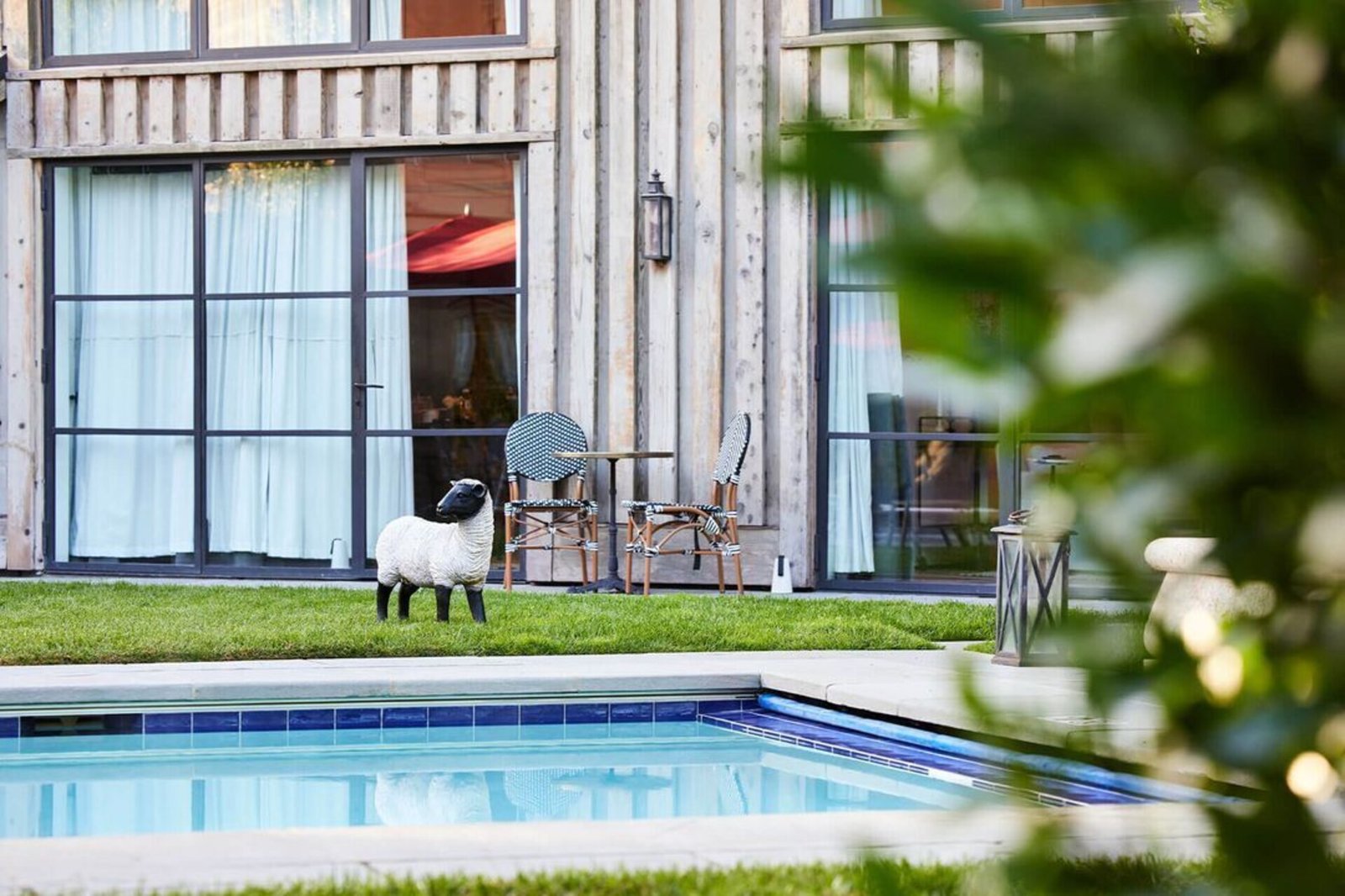 The Francis House, wellness