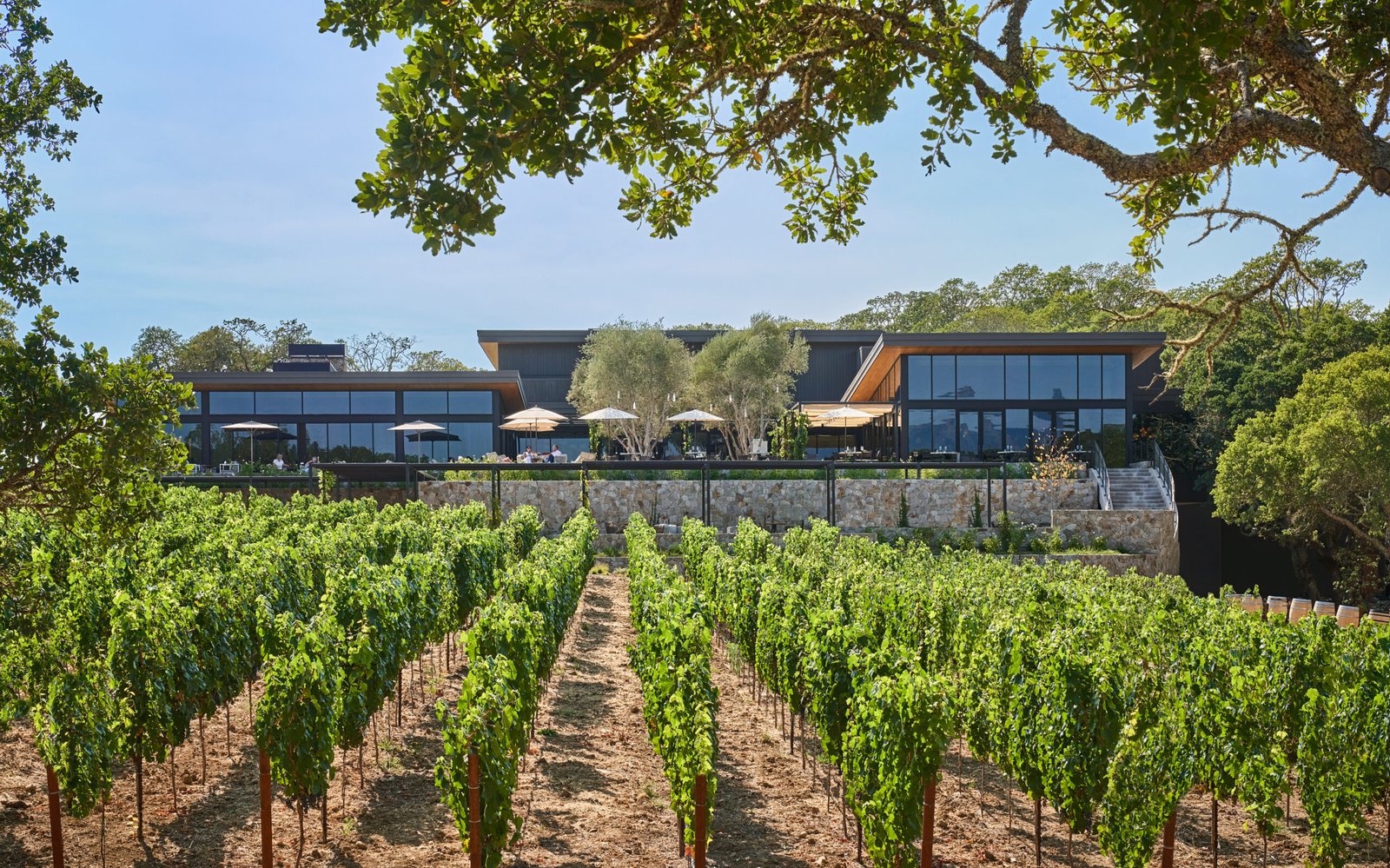 Montage Healdsburg, vibe