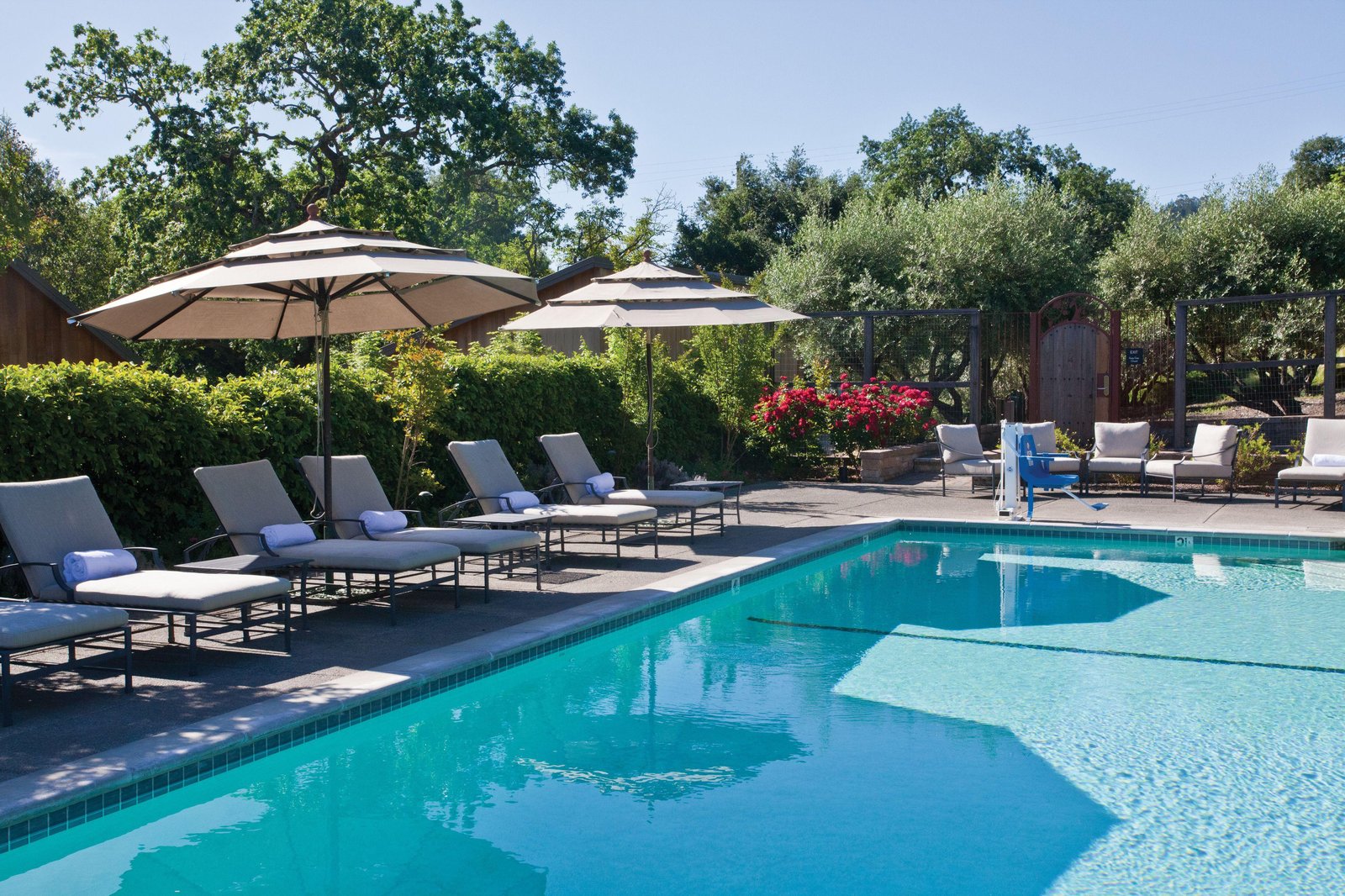 Le Petit Pali, the pool