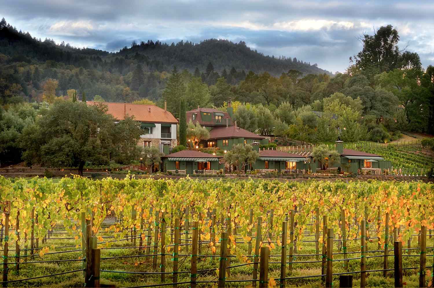 Le Petit Pali St. Helena, vibe