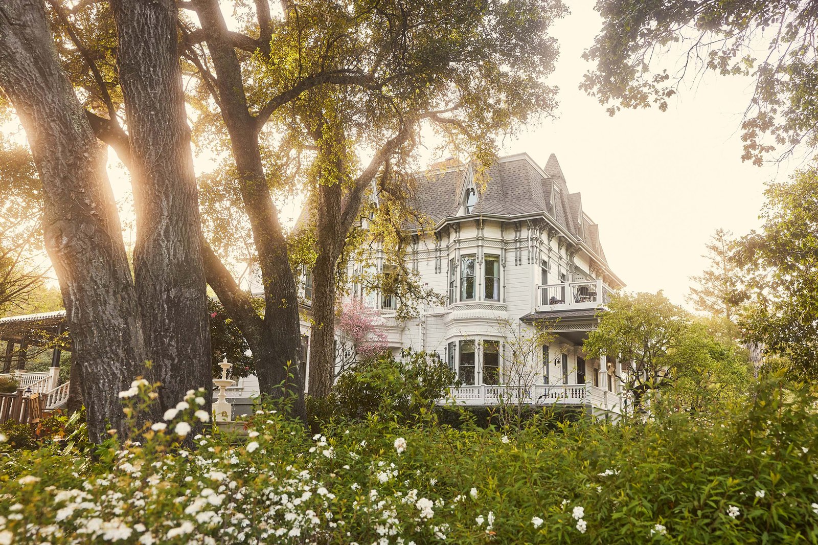 The Madrona, backstory