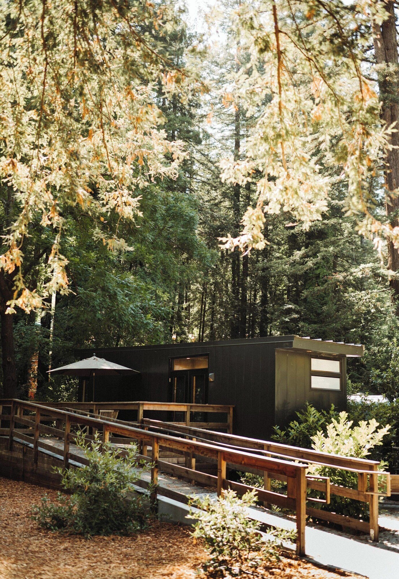AutoCamp Sonoma, backstory