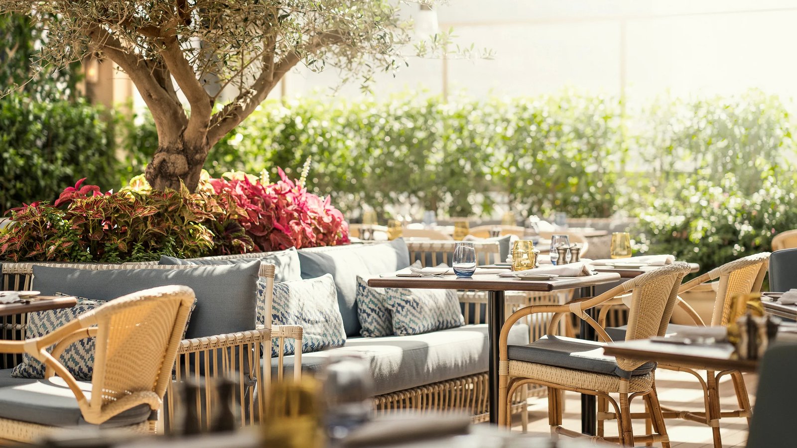 Four Seasons Hotel Dubai International Financial Centre, mina brasserie