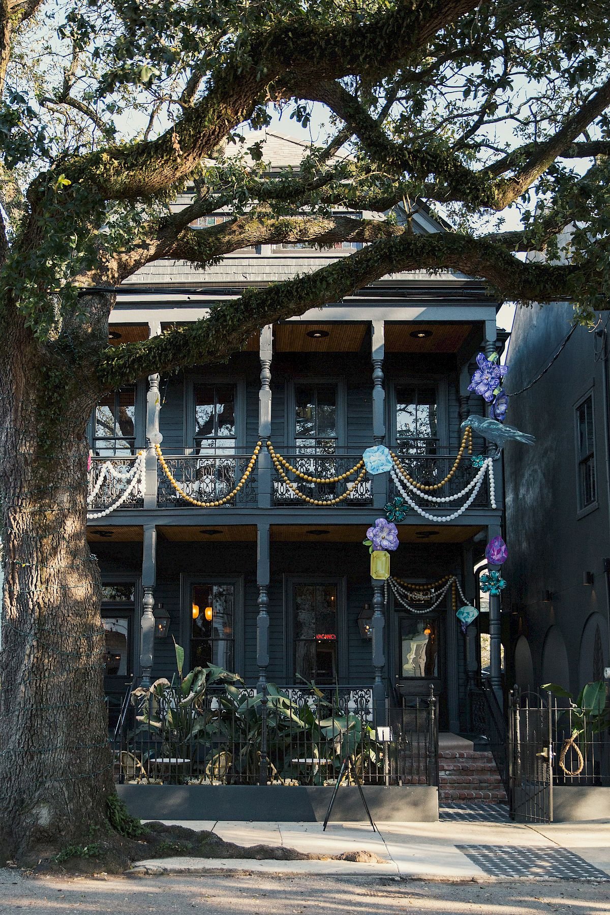 The Blackbird Hotel, backstory