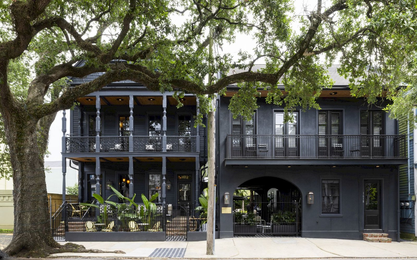 The Blackbird Hotel, backstory