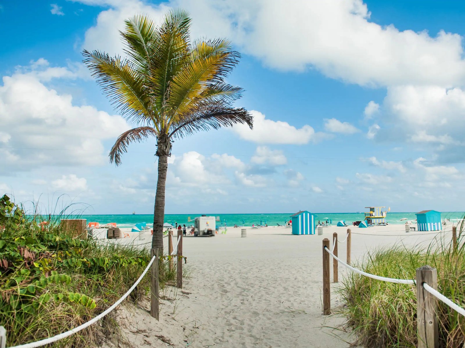 Hyatt Centric South Beach Miami, vibe
