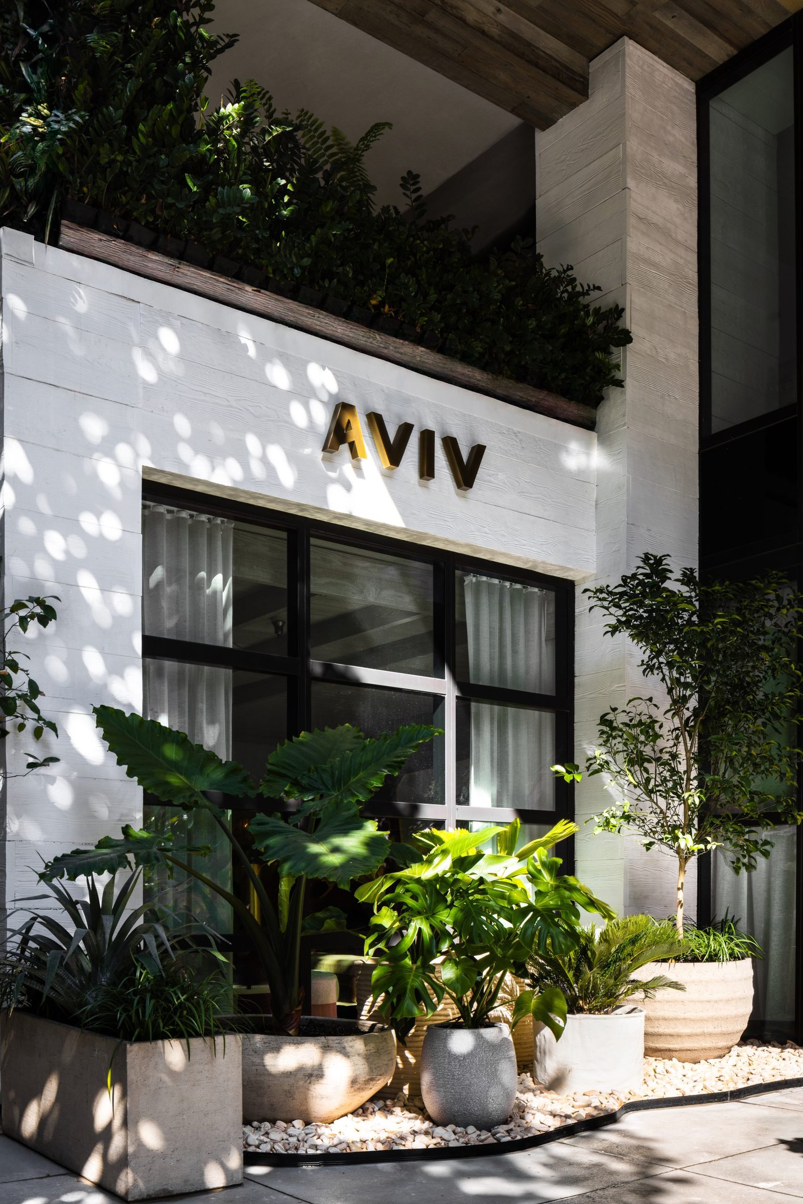 1 Hotel South Beach, backstory