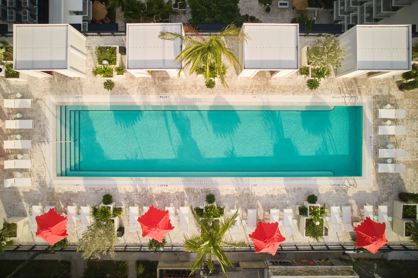 Arlo Wynwood, wellness