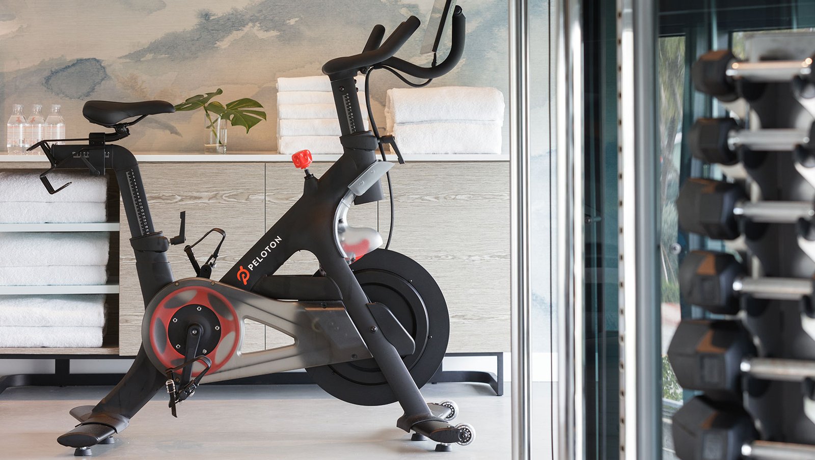 Kimpton Hotel Palomar South Beach, the gym and yoga deck