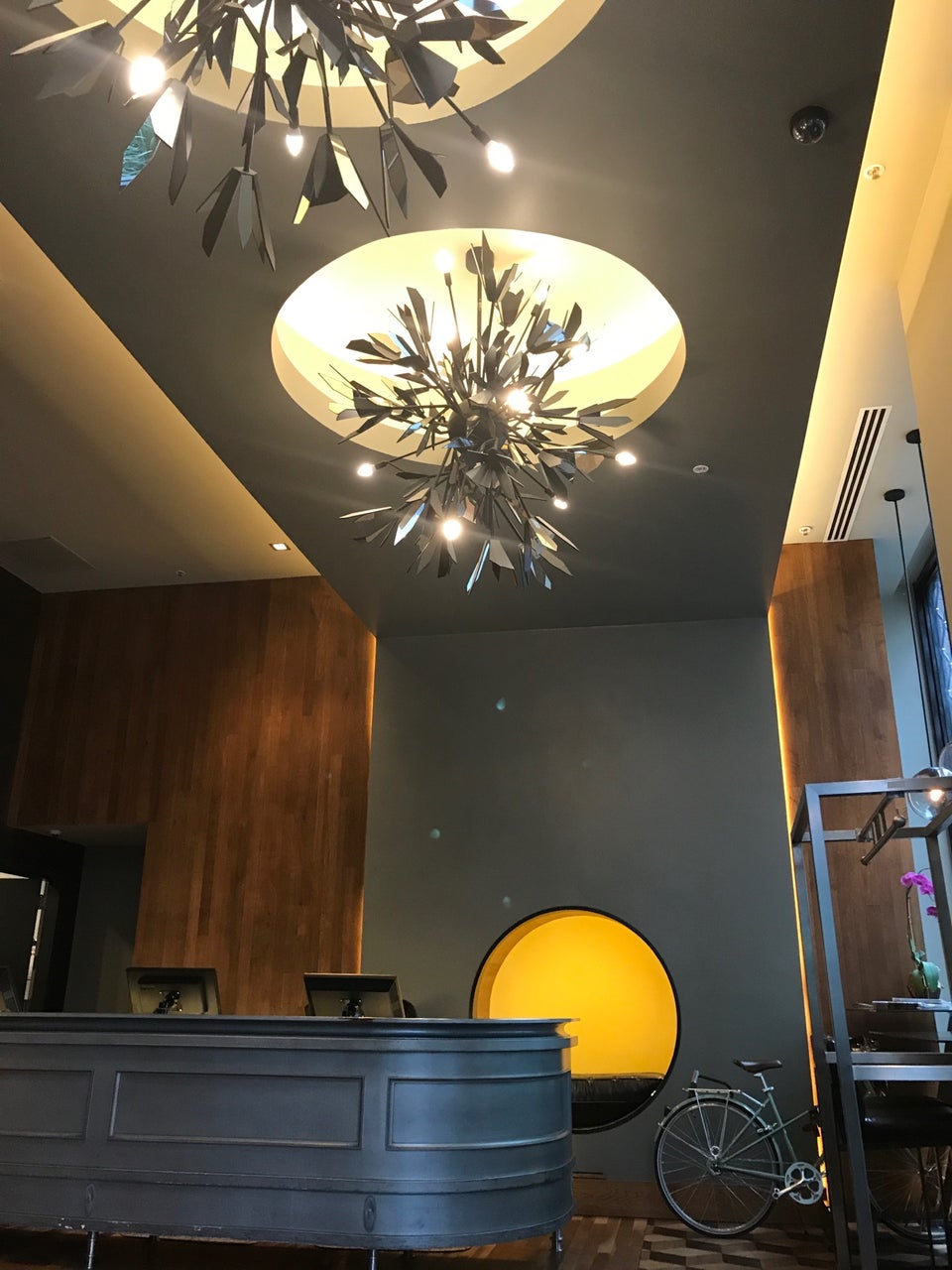 Hotel Zelos San Francisco, vibe