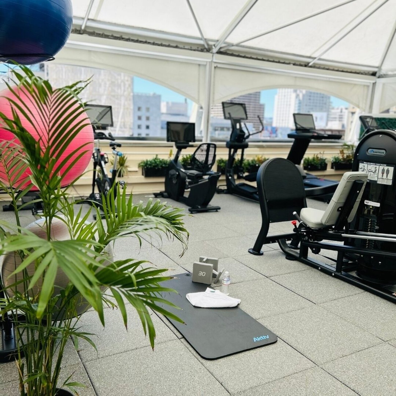 Taj Campton Place, San Francisco, the rooftop gym