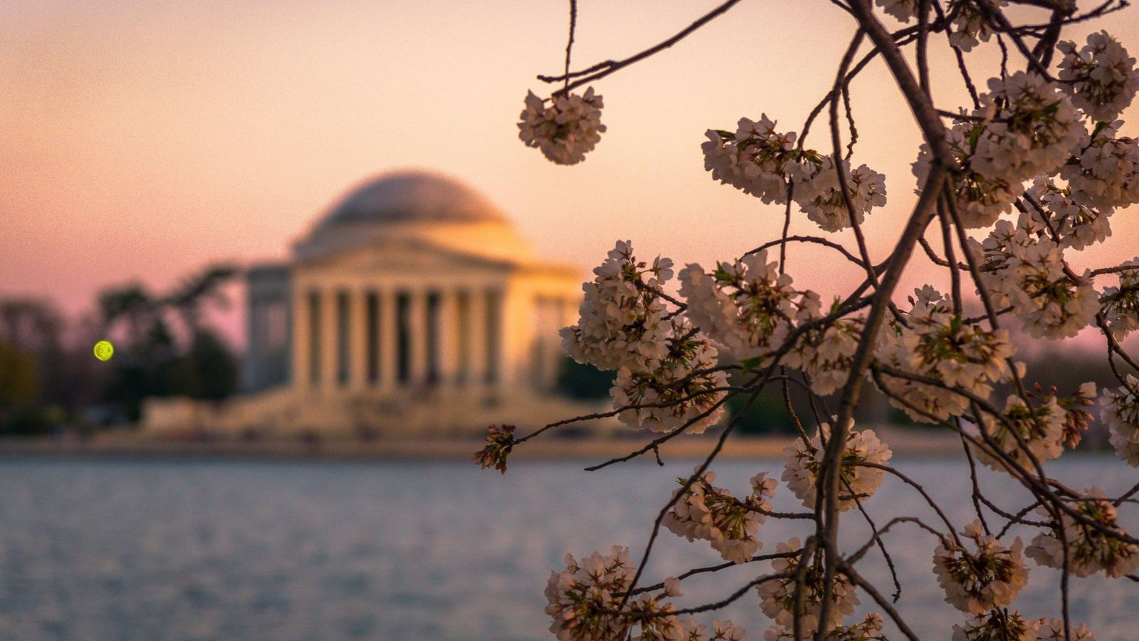 The Morrow Washington DC, Curio Collection by Hilton, vibe