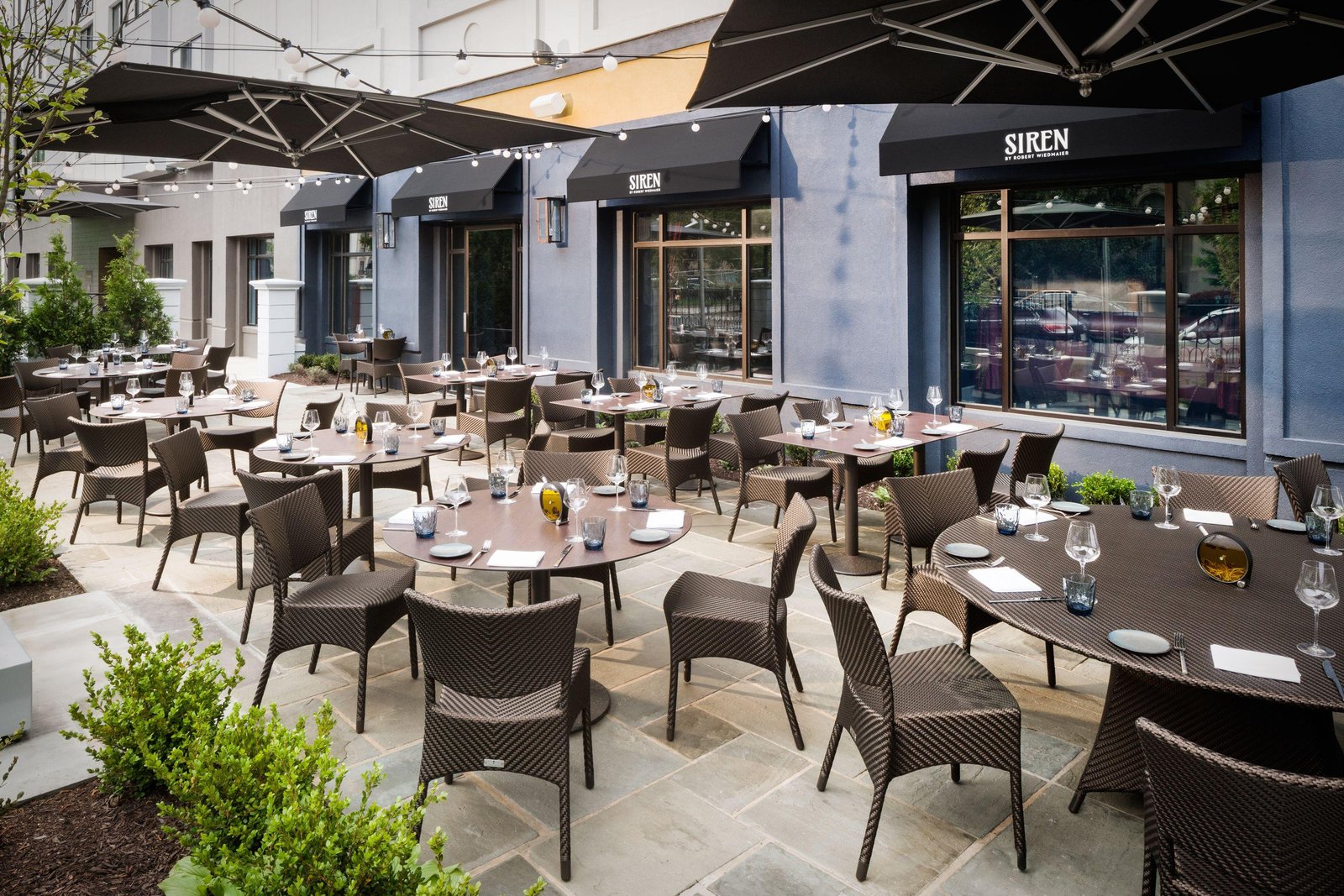 The Darcy, eat & drink