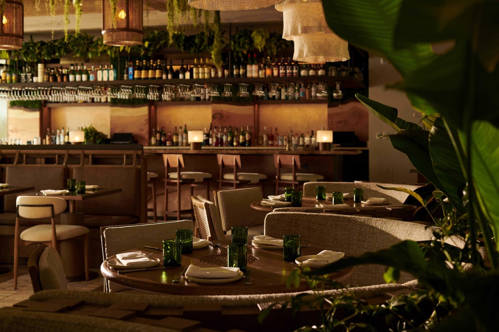1 Hotel Seattle, la loba