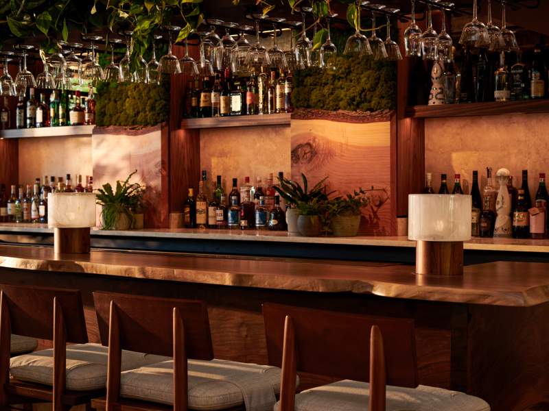 1 Hotel Seattle, la loba