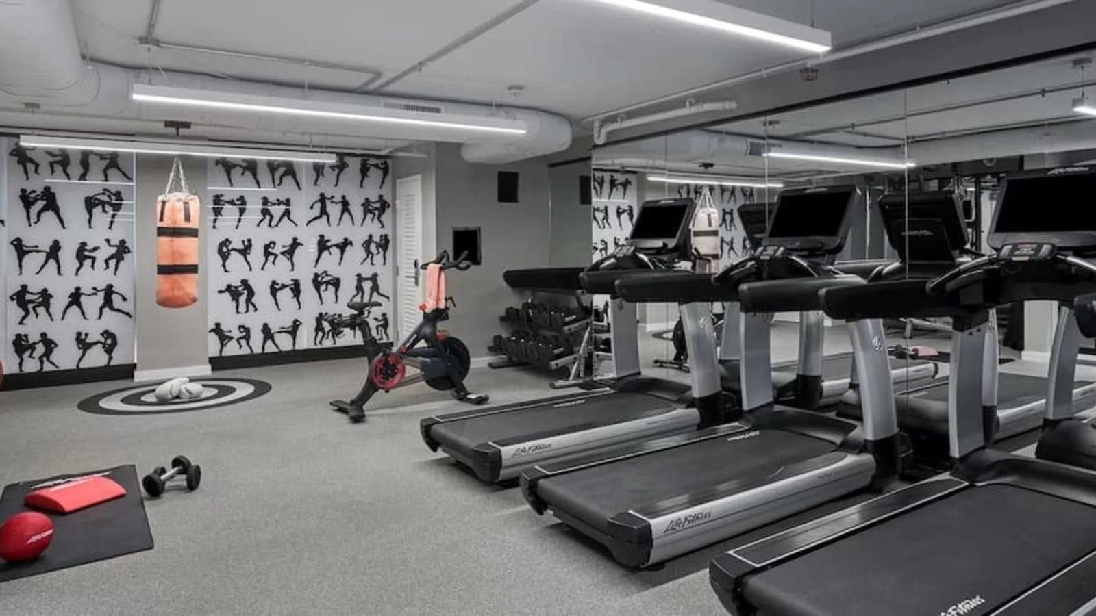 Hotel Zena Washington DC, the gym