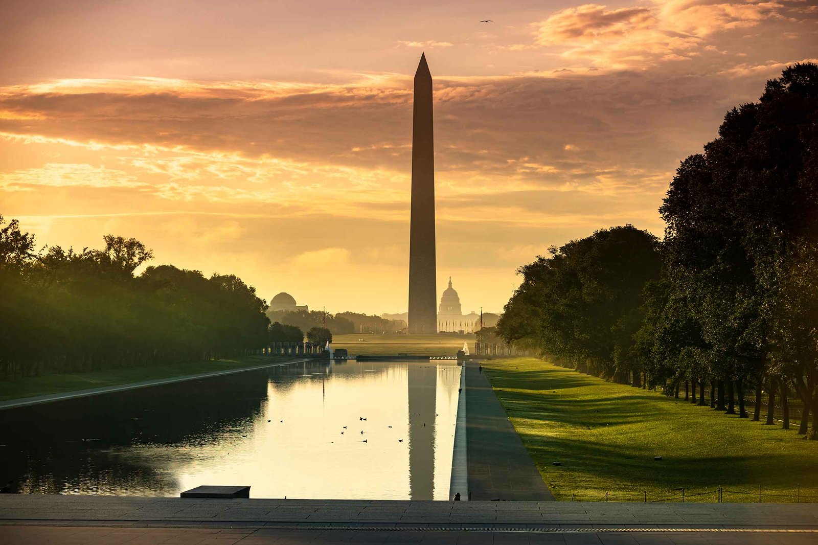 Viceroy Washington DC, vibe
