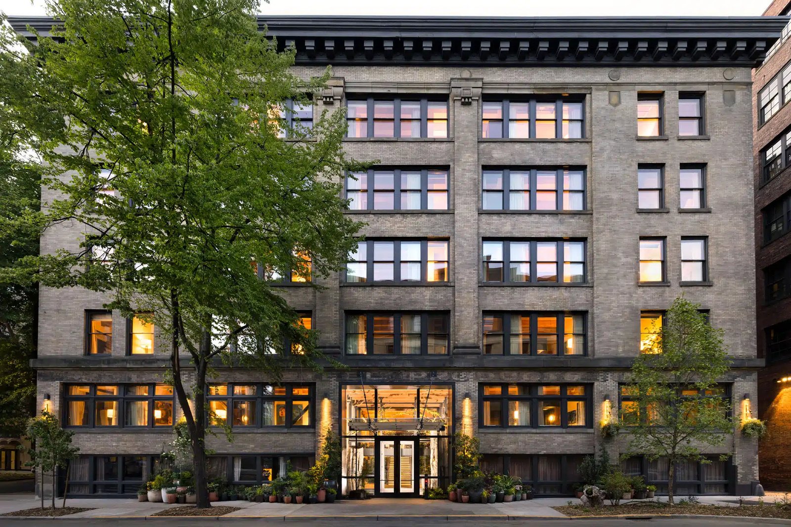 Populus Seattle, backstory