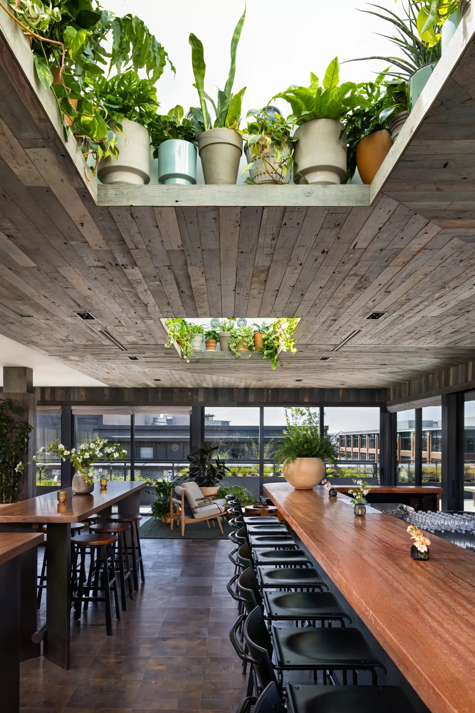 Populus Seattle, eat & drink
