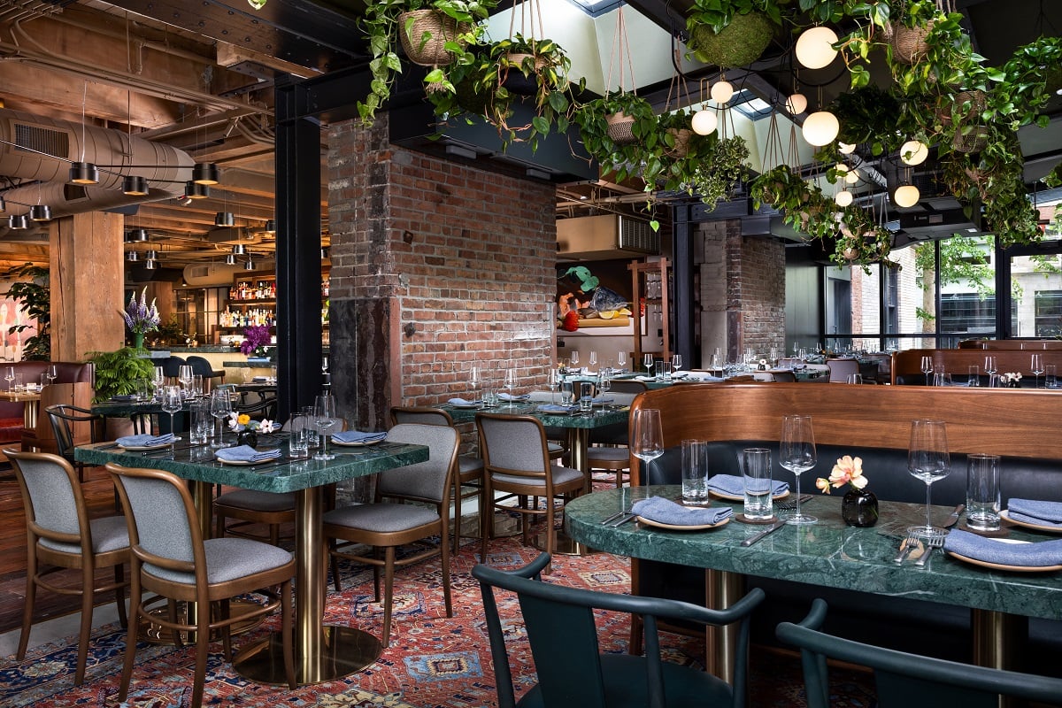 Populus Seattle