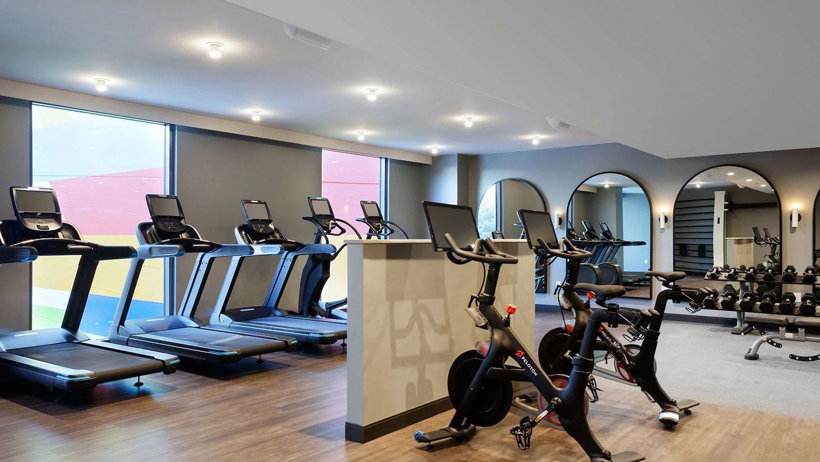 Kimpton Shane Hotel, the gym
