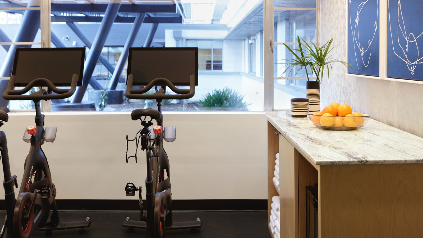 Kimpton Sylvan Atlanta - Buckhead, the gym
