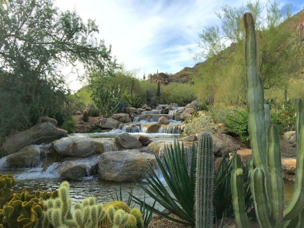 The Canyon Suites at The Phoenician, a Luxury Collection Resort, Scottsdale, vibe