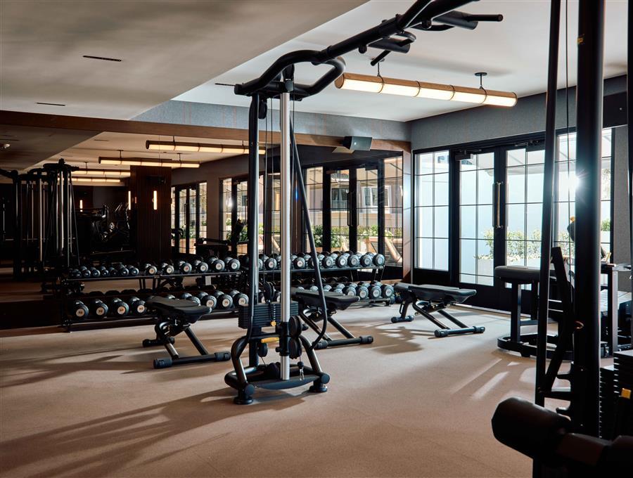 The Global Ambassador, wellness