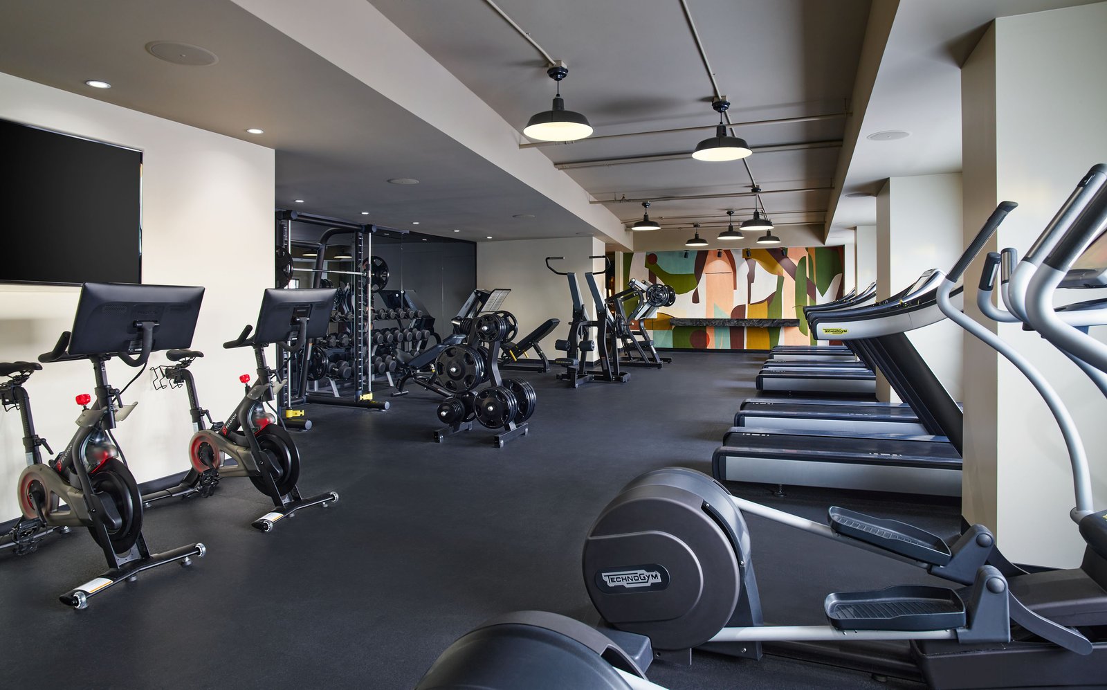 The Camby, the gym