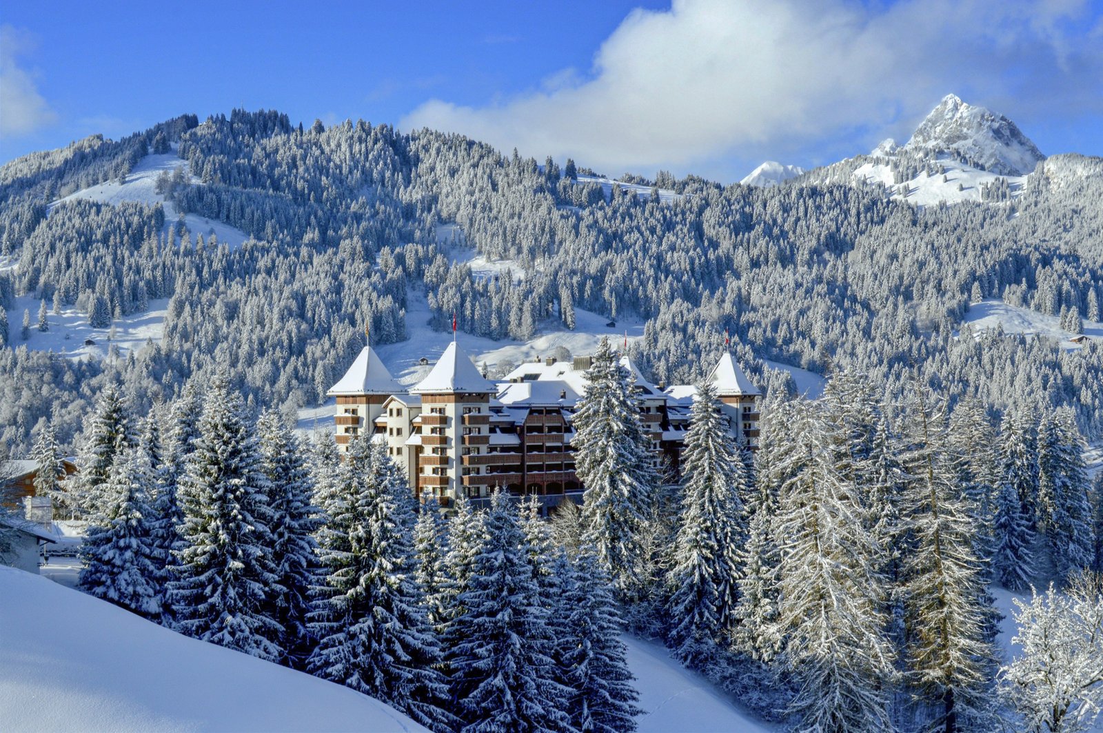 The Alpina Gstaad, backstory