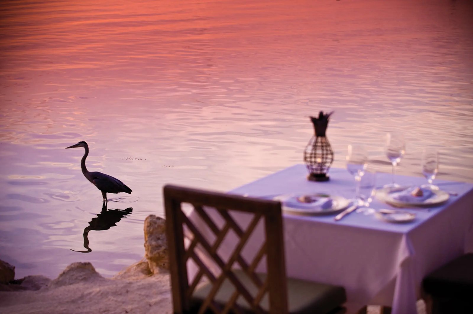 Little Palm Island, at the table