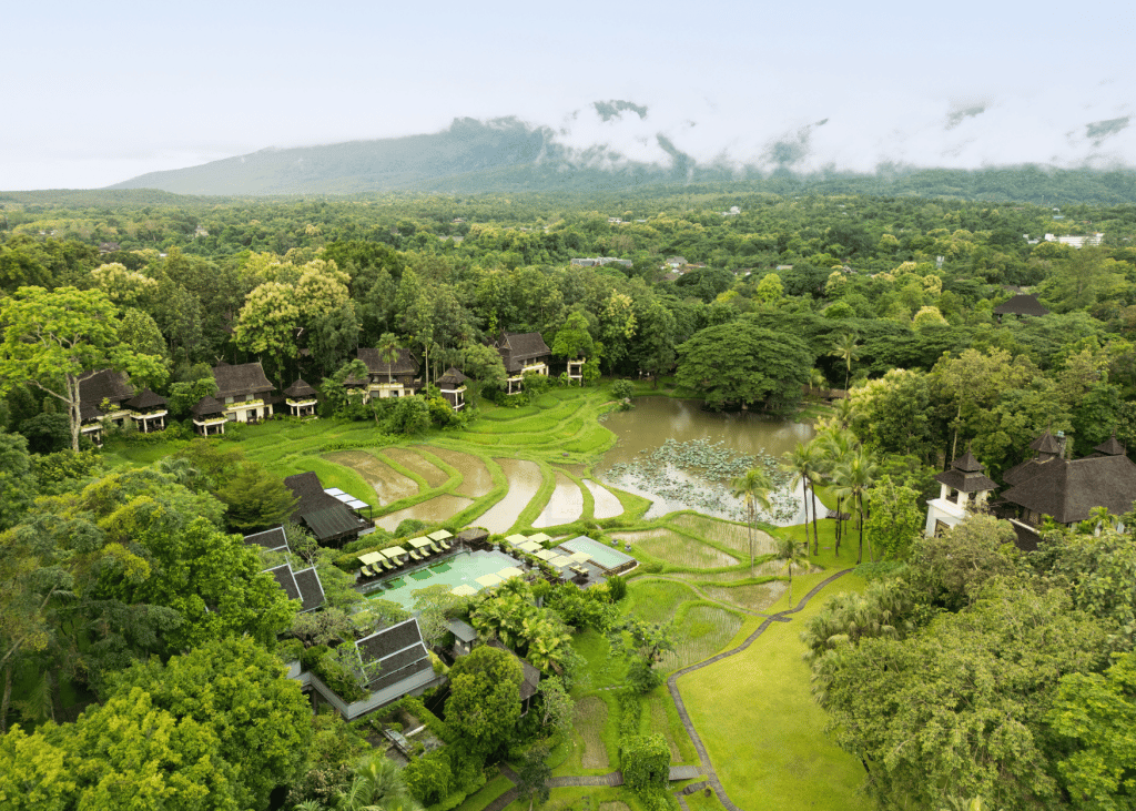 Four Seasons Resort Chiang Mai, backstory