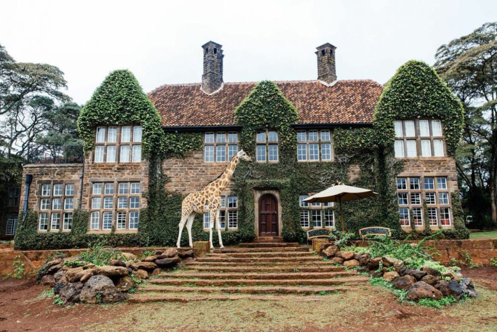 Giraffe Manor, backstory