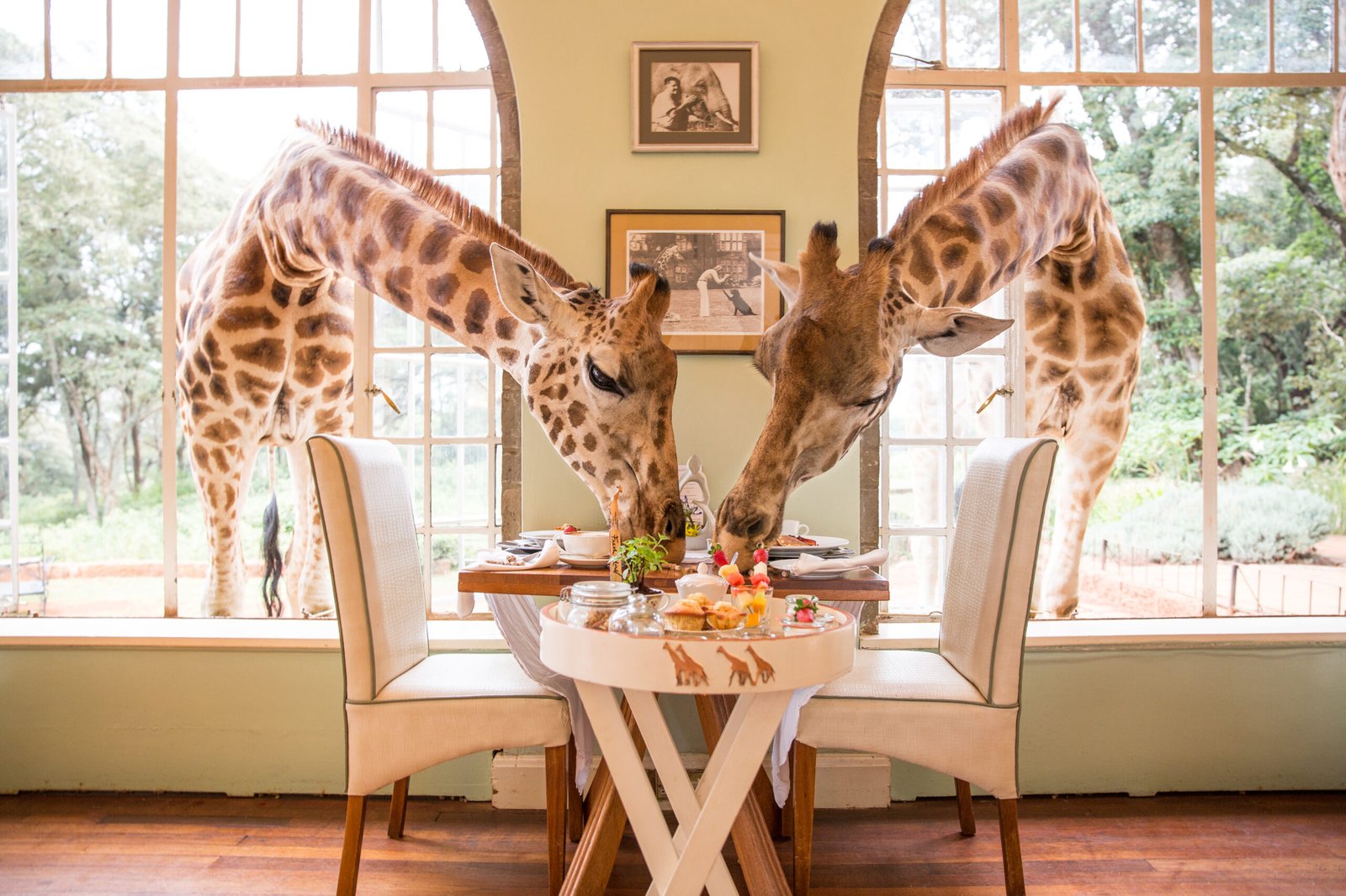 Giraffe Manor, eat & drink