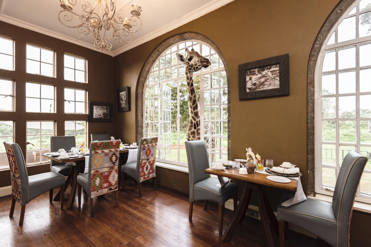 Giraffe Manor, eat & drink