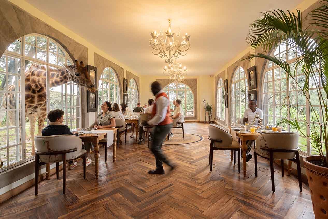 Giraffe Manor, eat & drink