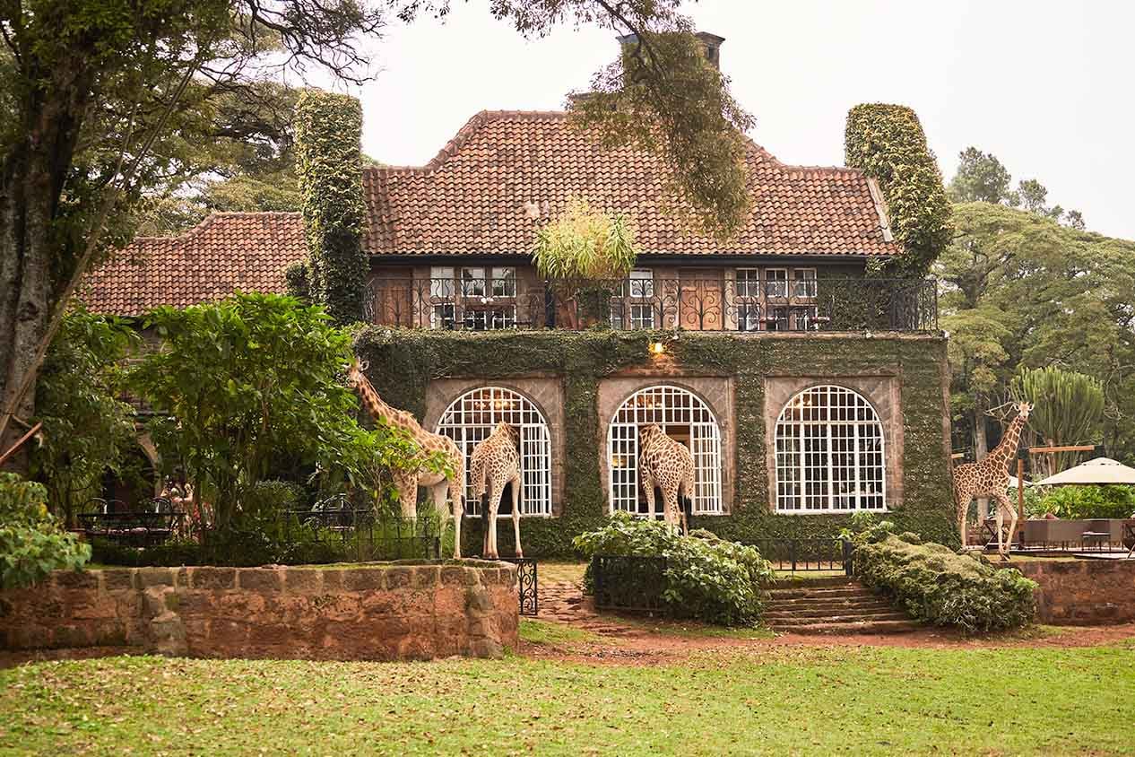Giraffe Manor, backstory