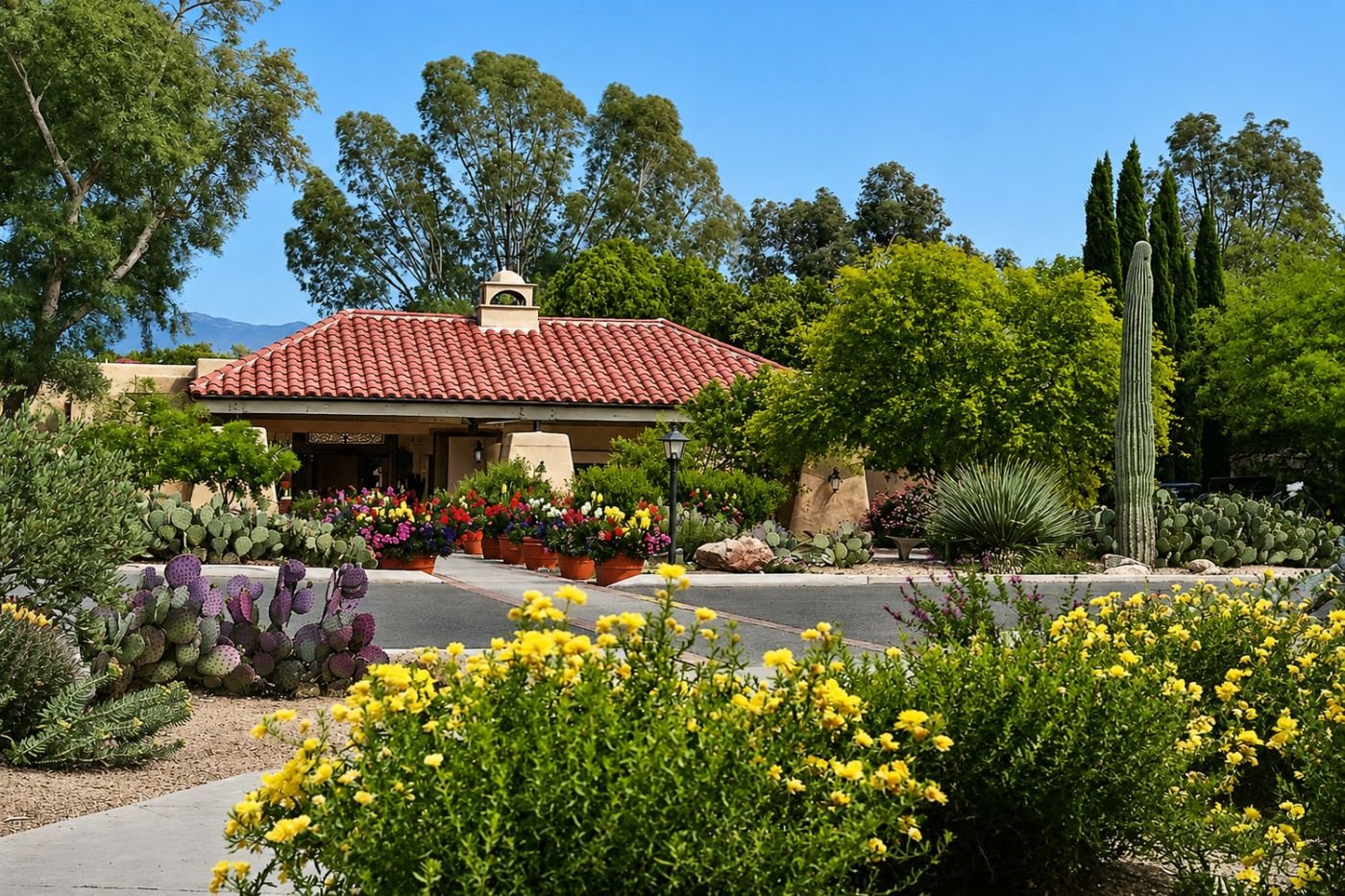 Canyon Ranch Tucson, how it began