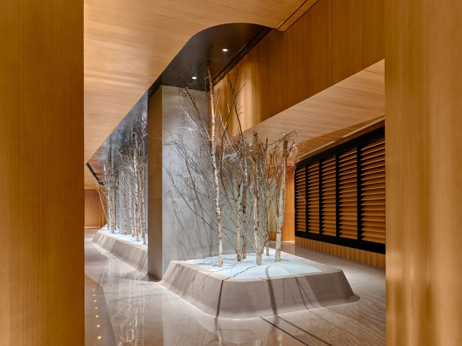 Morpheus, wellness