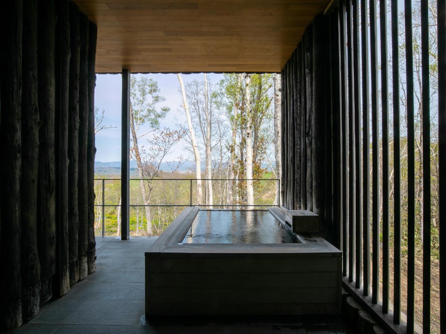 Zaborin Ryokan, the spa
