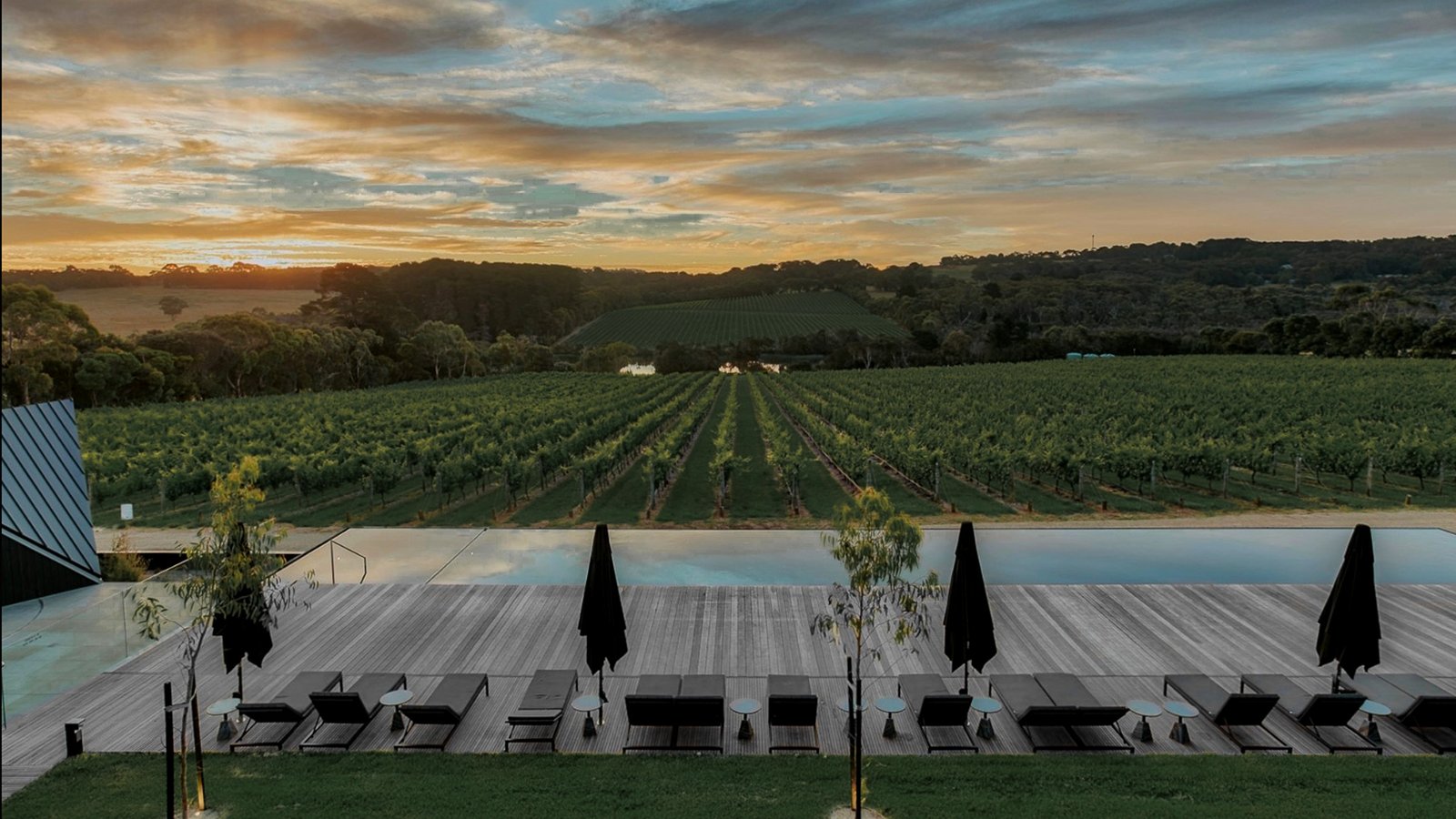 Jackalope Hotel Mornington Peninsula, the pool
