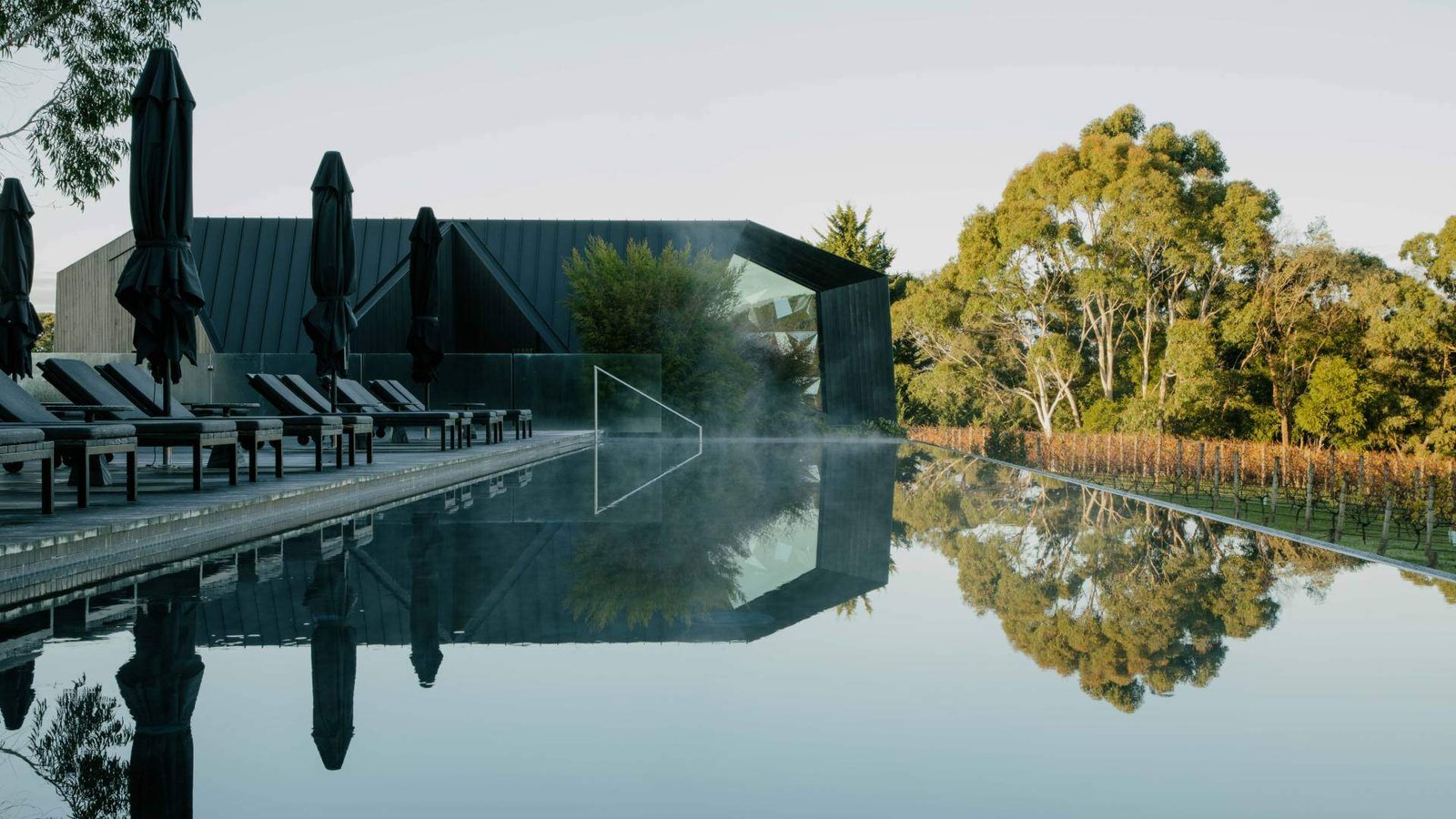 Jackalope Hotel Mornington Peninsula, the pool