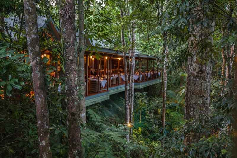 Silky Oaks Lodge, backstory